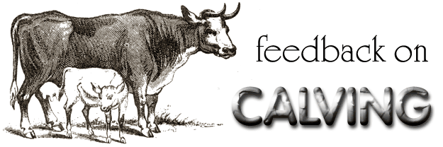 
One day my dairyman boss told me the following: The average cow's pelvis is not equally wide and deep, and many hip-locked calves will slip out easily if their bodies can be turned 90 degrees.
